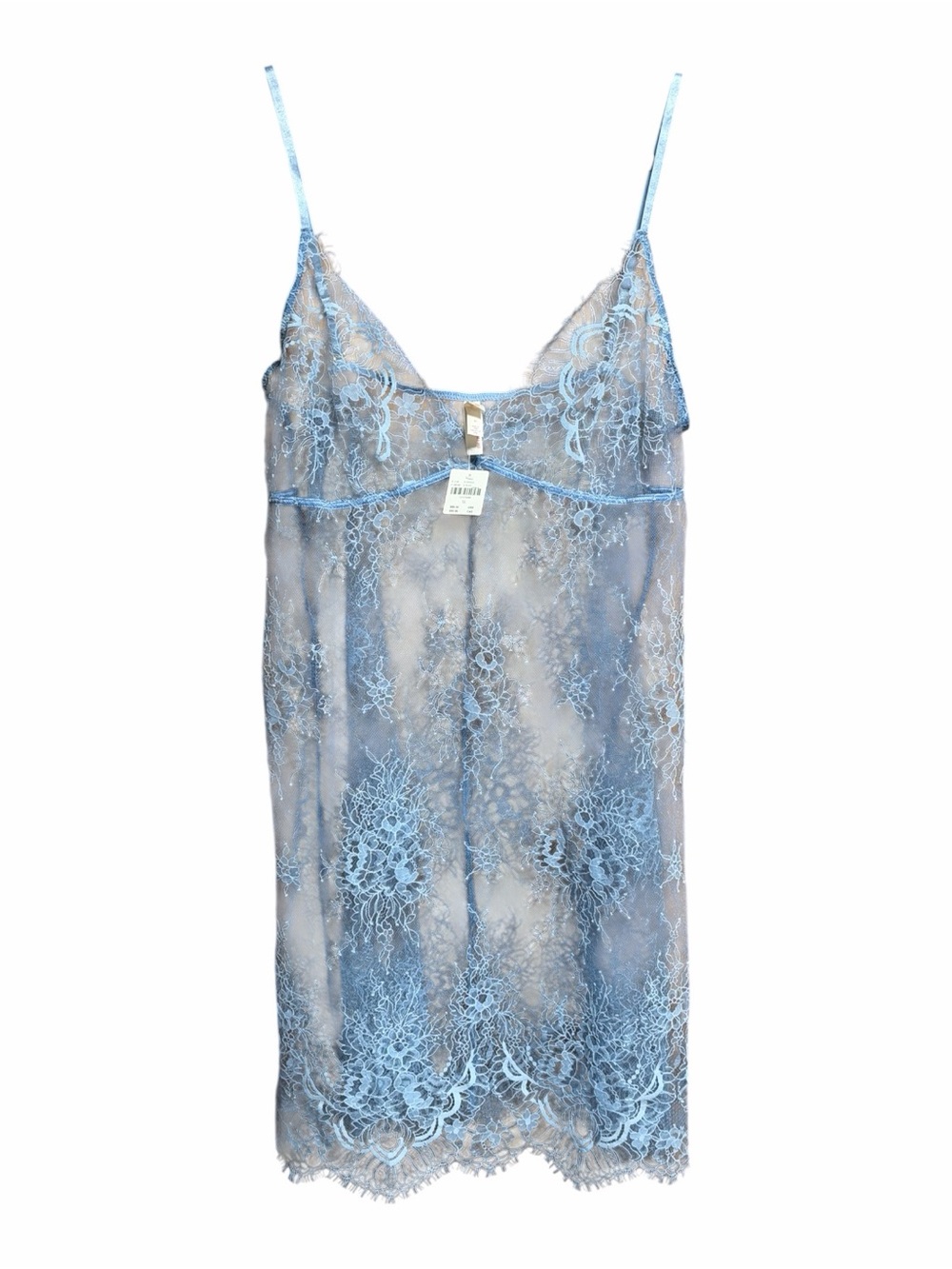 Anthropologie Sheer Blue Lace Chemise - Powder Blue